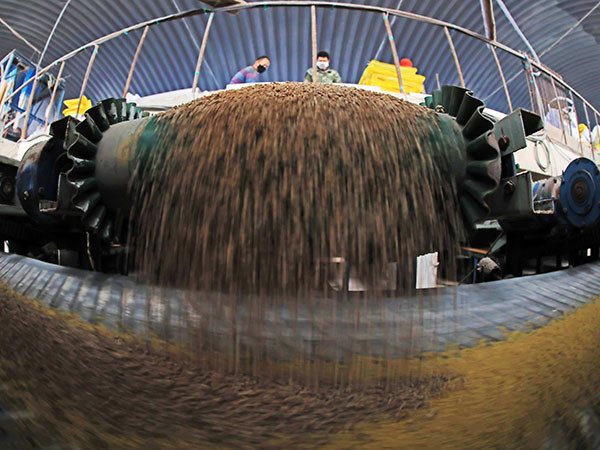 Cuando se producen 1 a 20 toneladas por hora de fertilizantes orgánicos en polvo, el equipo de la línea de producción de gránulos