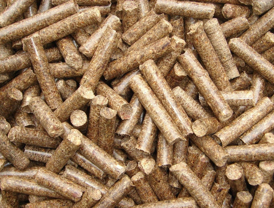 Granulador de fertilizantes orgánicos de tamaño 3-10 mm con capacidad de producción de 4-6 t/h