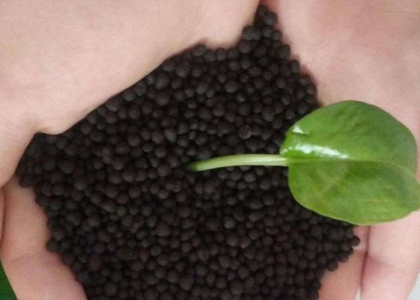 Línea de producción de pellets de fertilizantes orgánicos para palomas